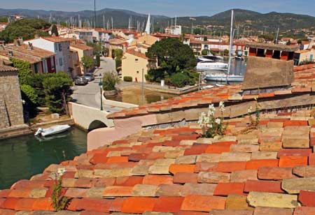 flrrurs sur toit a port grimaud