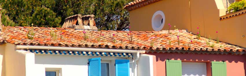 fleurs sur toit a port grimaud